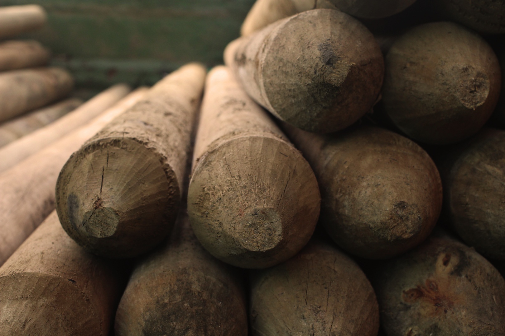 La madera inmunizada es uno de los materiales mas versátiles y
    confiables que tenemos a nuestra disposición.